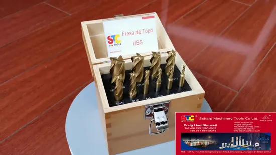 20 PCS HSS End Mills Sets